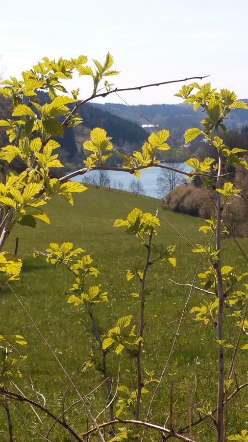 Ferienhaus " Silly " Am Schoenen Listersee Meinerzhagen Buitenkant foto